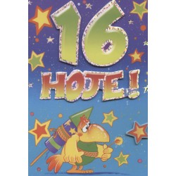 CARTOES EV.DAYS C/ENV.REF.ATI - IDADE 16