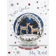 STARDUST CHRISTMAS