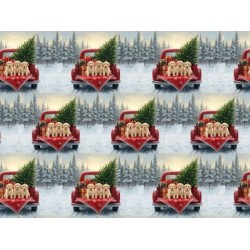 PAPEL FANTASIA  NATAL REF. MP X167