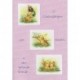 CARTOES EV.DAYS C/ENV.REF.CUTES