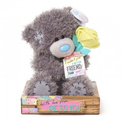 MTY PELUCHE M7 FRIENDSHIP WITH ROSE REF.G01W4098