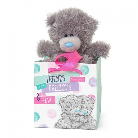 MTY PELUCHE M5 IN GIFT BAG FRIENDS REF.G01W4069